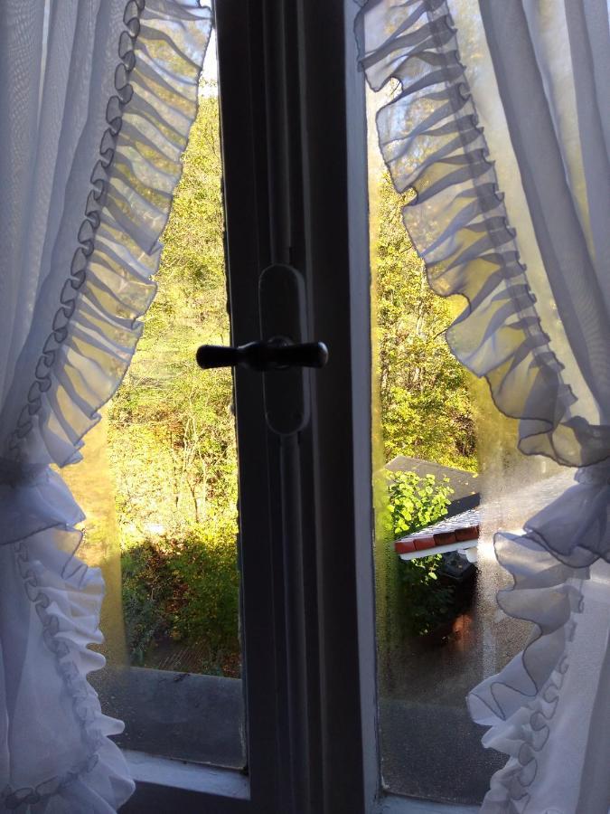 Schmoekermuehle Bed and Breakfast Andernach Eksteriør billede