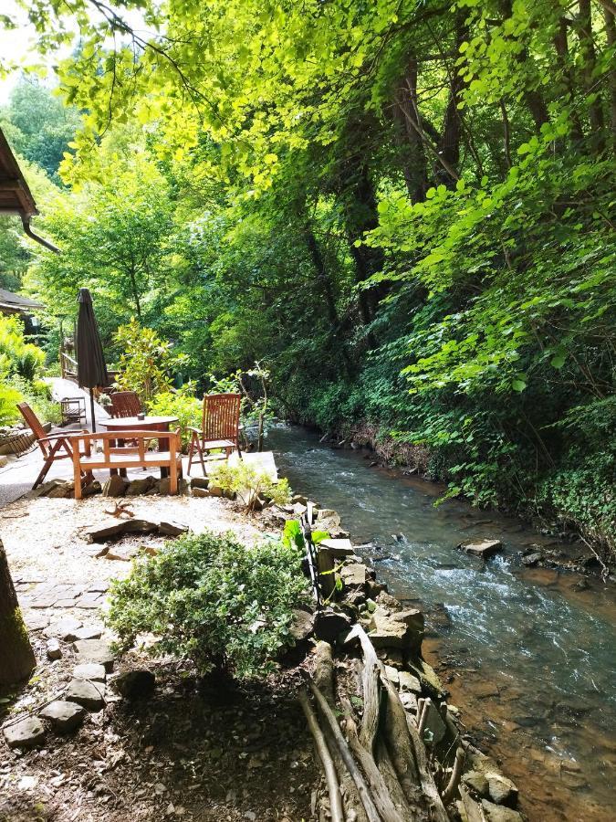 Schmoekermuehle Bed and Breakfast Andernach Eksteriør billede